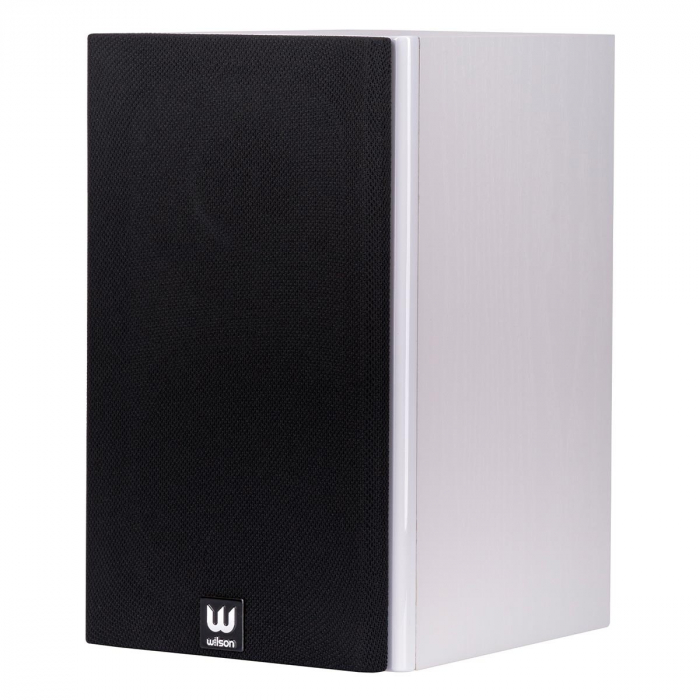 Boxe Wilson RAPTOR MINI [5]