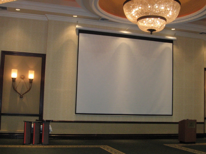 Ecran proiectie EliteScreens VMAX180XWV [5]