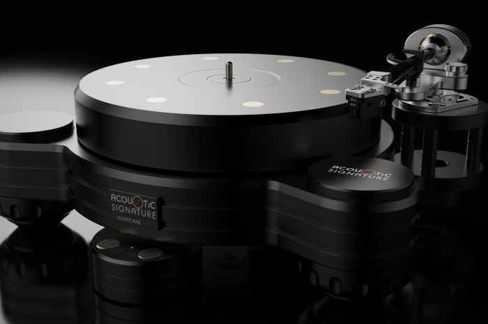 Pickup Acoustic Signature Hurricane Neo [4]