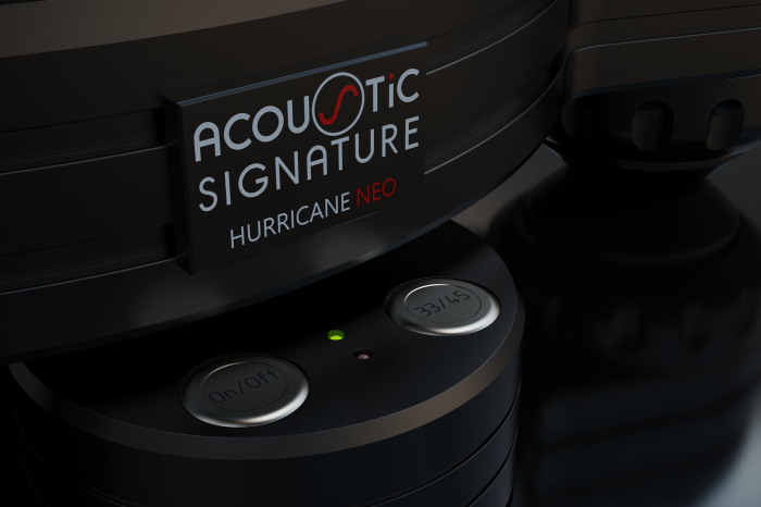 Pickup Acoustic Signature Hurricane Neo [6]