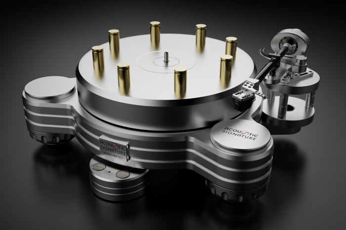 Pickup Acoustic Signature Hurricane Neo [4]