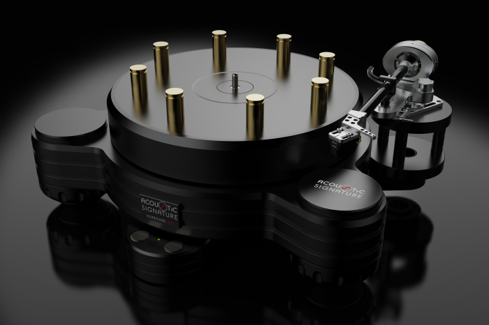 Pickup Acoustic Signature Hurricane Neo [3]