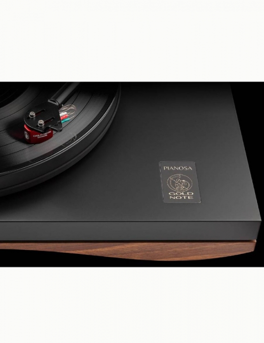 Pickup Gold Note Pianosa [4]