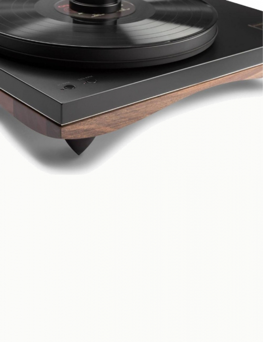 Pickup Gold Note Pianosa [3]