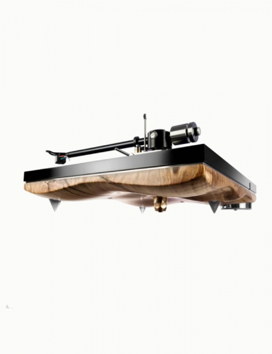Pickup Gold Note Pianosa [2]