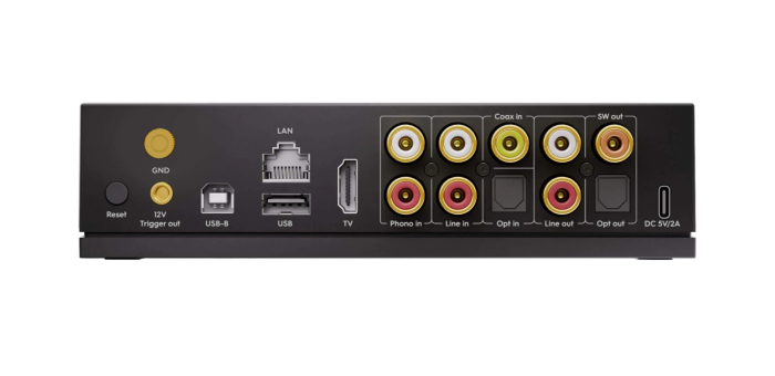 Streamer Arylic LP100 [2]