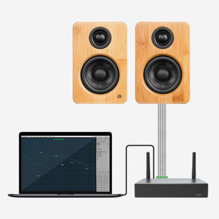 Streamer audio cu amplificare 2x35W Arylic A30+, LAN /Wi-Fi /Bluetooth, 24bit/192kHz, Multiroom [2]