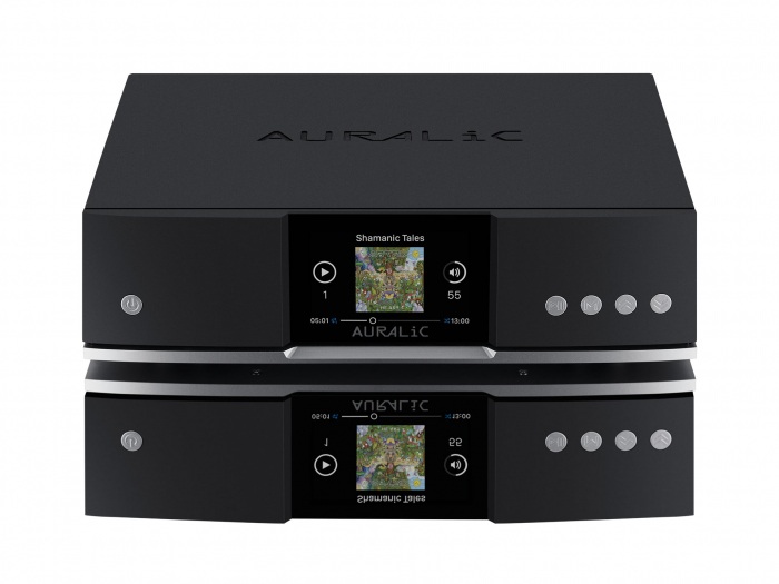 Streamer Auralic Aries G1.1 [3]