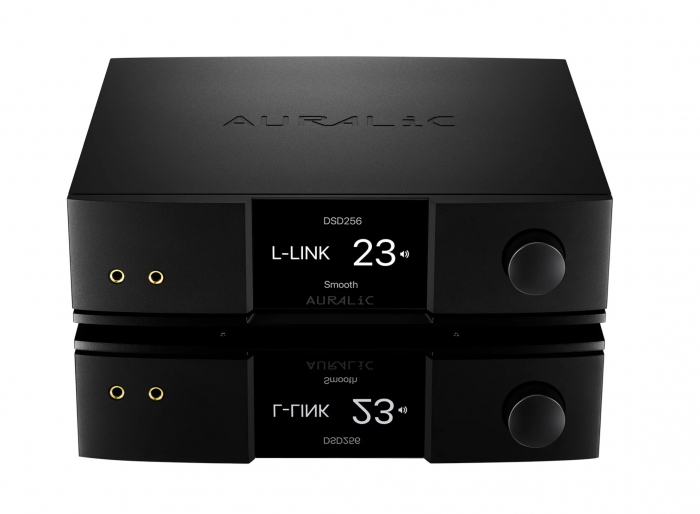 Streamer cu DAC Auralic VEGA G2.2 [4]