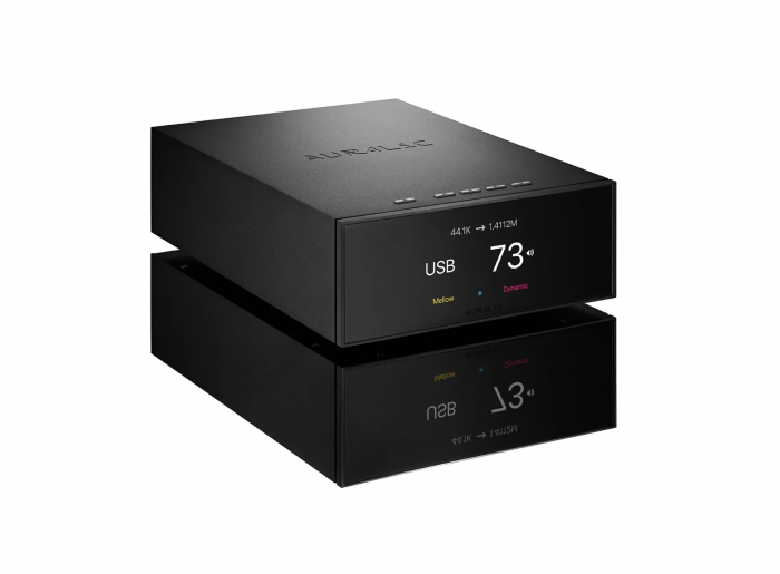 Streamer cu DAC si Preamplificator analog Auralic Vega S1 [4]