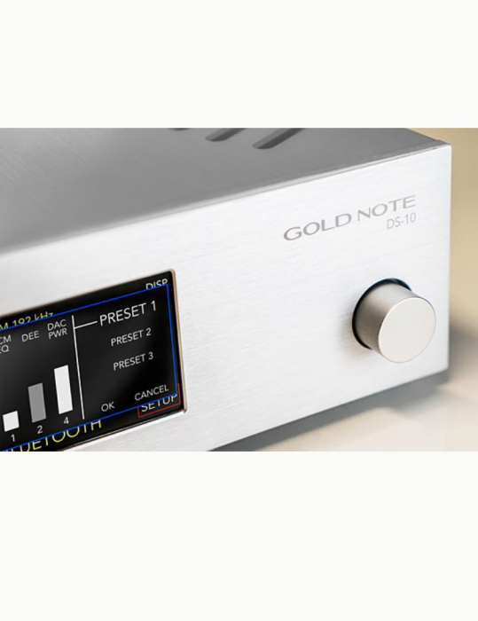 Streamer cu DAC si preamplificator Gold Note DS-10 Evo [2]