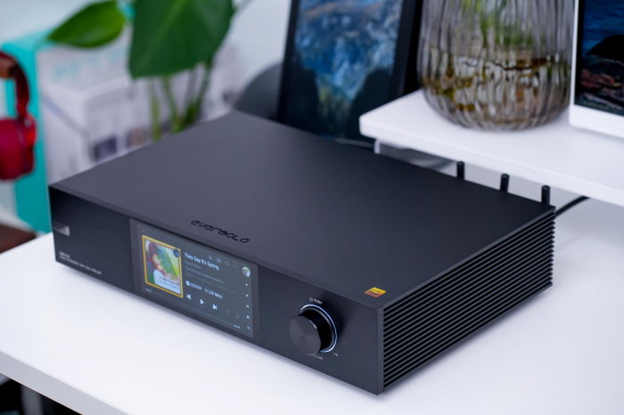 Streamer EverSolo DMP-A8 [4]