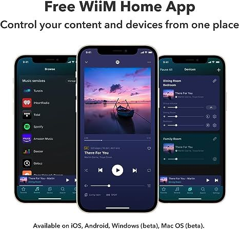 Streamer Wi-Fi WiiM Pro Plus, 24bit /192kHz, Bluetooth 5.2, AUX, SPDIF, Spotify si Tidal Connect, Airplay 2 [4]