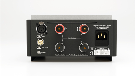 Amplificatoare de putere monoblocuri Mola Mola Ossetra (pereche) [3]