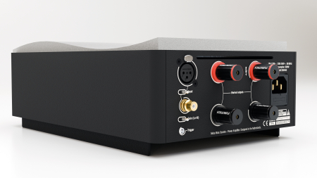 Amplificatoare de putere monoblocuri Mola Mola Ossetra (pereche) [2]