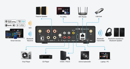 Amplificator cu streaming Arylic H50 [1]