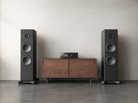 Amplificator de putere EverSolo AMP-F8 [8]