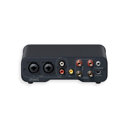 Amplificator de putere stereo, comutabil în mono punte [1]