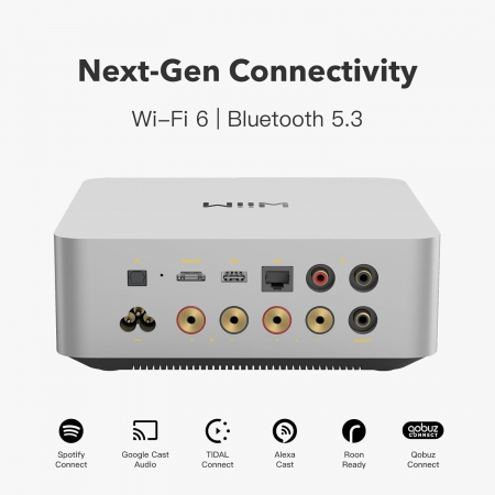 Amplificator integrat Wiim Amp Ultra [1]