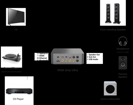 Amplificator integrat Wiim Amp Ultra [7]