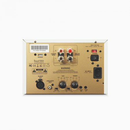 Advance Acoustic BX-2 [1]