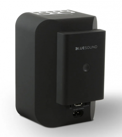 Baterie Bluesound BP100 pentru PULSE FLEX [2]