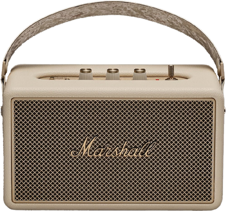 Boxa amplificata Marshall Kilburn III [1]