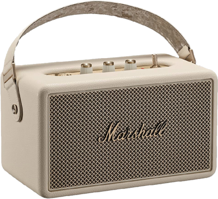 Boxa amplificata Marshall Kilburn III [2]