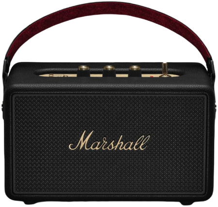 Boxa amplificata Marshall Kilburn III [5]