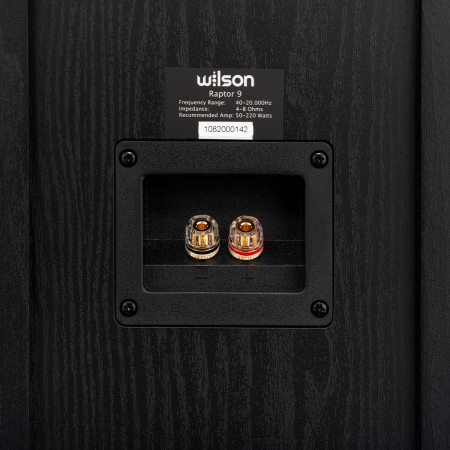 Boxa de podea Wilson RAPTOR 9 [5]