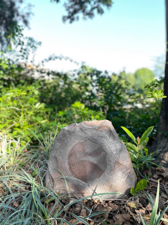 Boxa exterior gradina Taga Harmony TRS-20 v.3 (2023) [4]