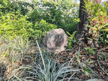 Boxa exterior gradina Taga Harmony TRS-20 v.3 (2023) [9]