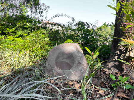 Boxa exterior gradina Taga Harmony TRS-20 v.3 (2023) [3]