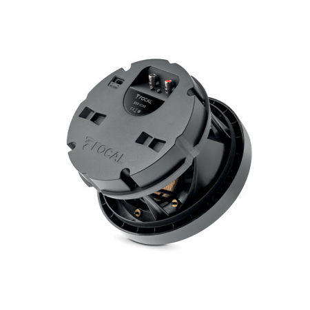 Focal 300 ICA 6 [2]