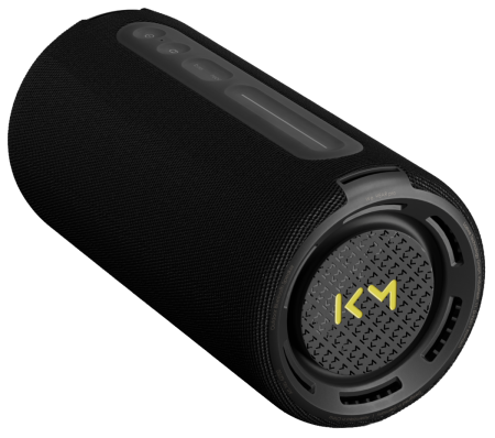 Boxe portabile cu Bluetooth - Boxa portabila Loewe We.HEAR PRO