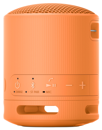 Boxa portabila Sony SRS XB100 [1]