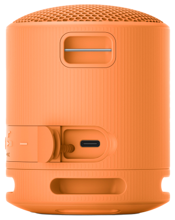 Boxa portabila Sony SRS XB100 [2]