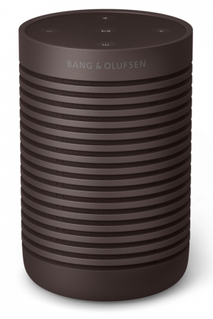 Boxe active Bang&Olufsen Beosound Explore [1]