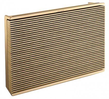 Boxe active Bang&Olufsen Beosound Level, GVA