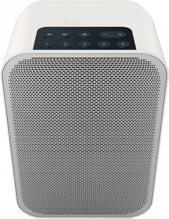 Boxe portabile cu Bluetooth - Boxe active Bluesound PULSE Flex 2i