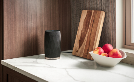 Boxe Bowers & Wilkins Formation Flex [1]