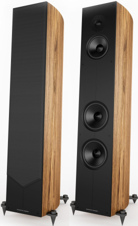 Boxe de podea Acoustic Energy Corinium