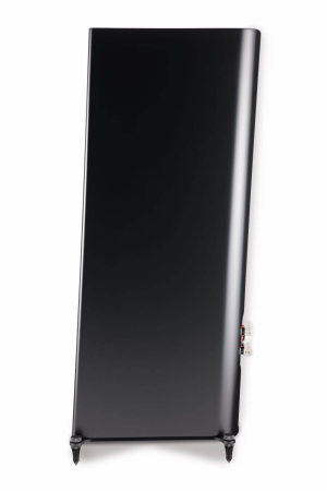 Boxe de podea T+A Criterion S230, 3-Way Transmission-line [1]