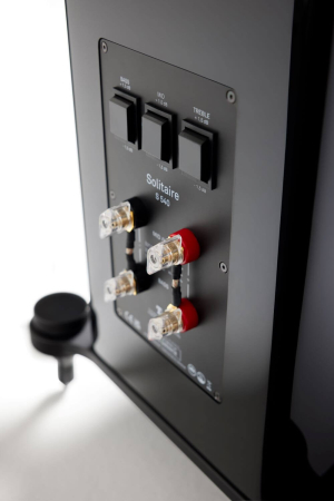 Boxe de podea T+A Solitaire S540, 240W in 4 Ohmi, negru [3]