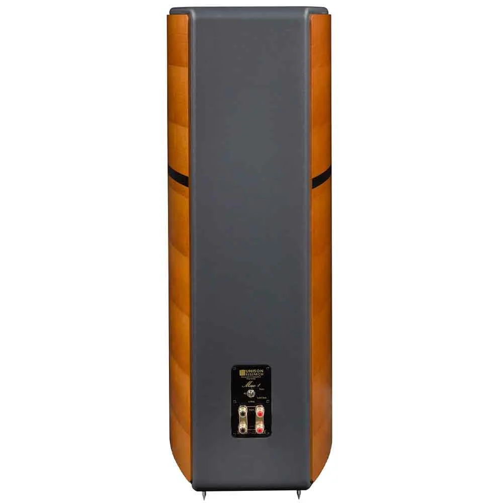 Boxe de podea UNISON RESEARCH MAX 1 [2]