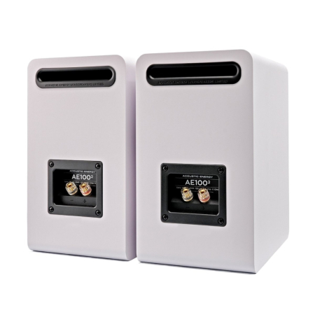 Boxe de raft Acoustic Energy AE100.2 [2]