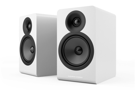 Boxe de raft Acoustic Energy AE100.2