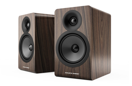 Boxe de raft Acoustic Energy AE100.2