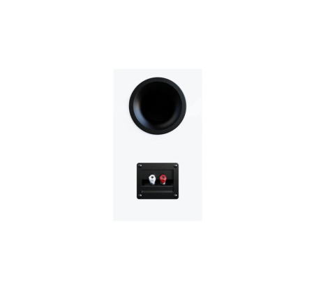 Boxe de raft Elac Debut 3.0 DB63 [2]