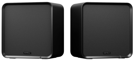 Boxe de raft - Boxe de raft EverSolo SE100